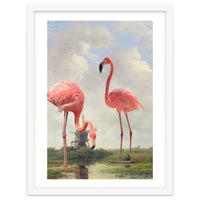 Fishing With Flamingos