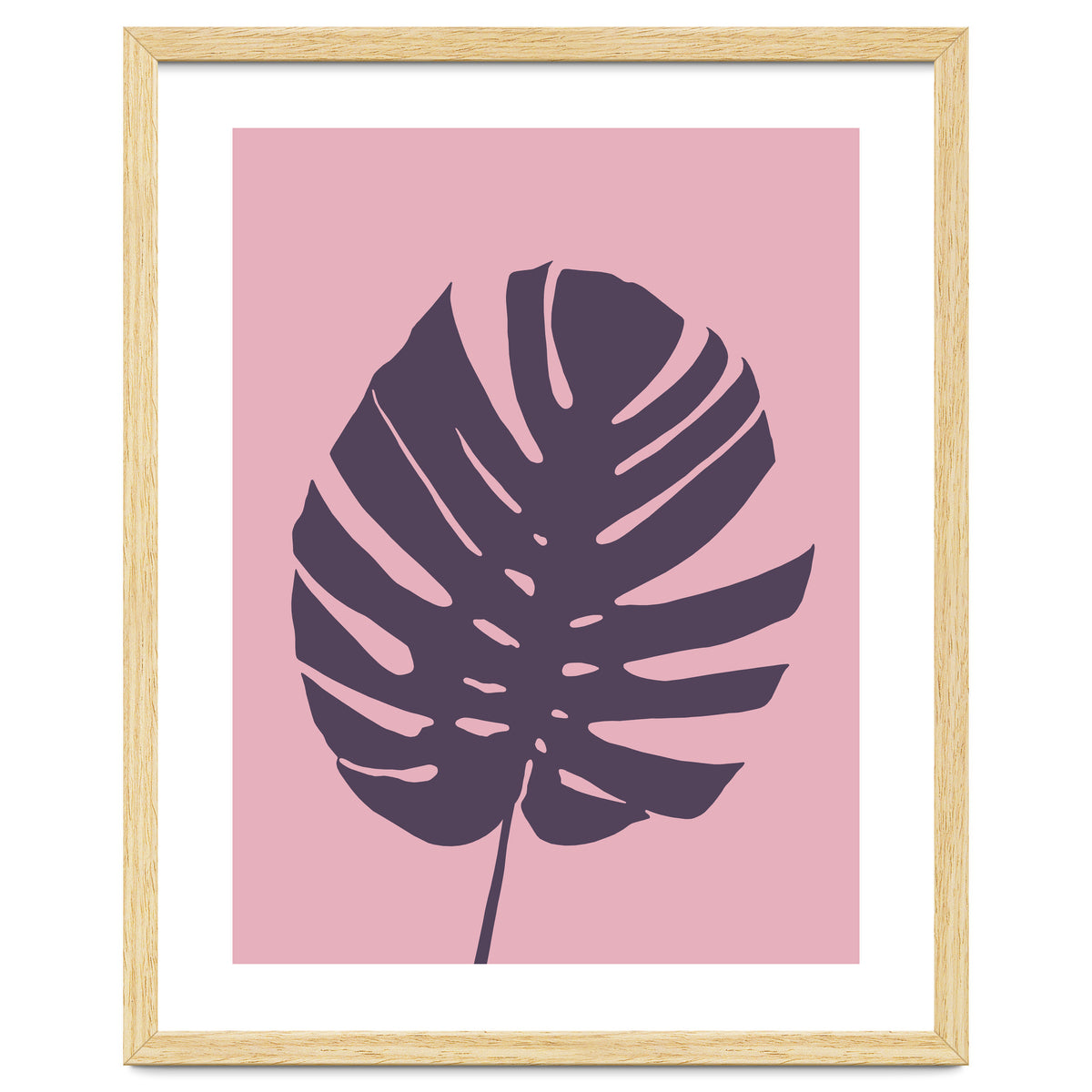 Monstera Deliciosa III