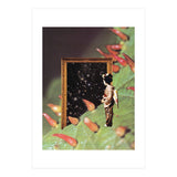 Cosmology (Print Only) thumbnail