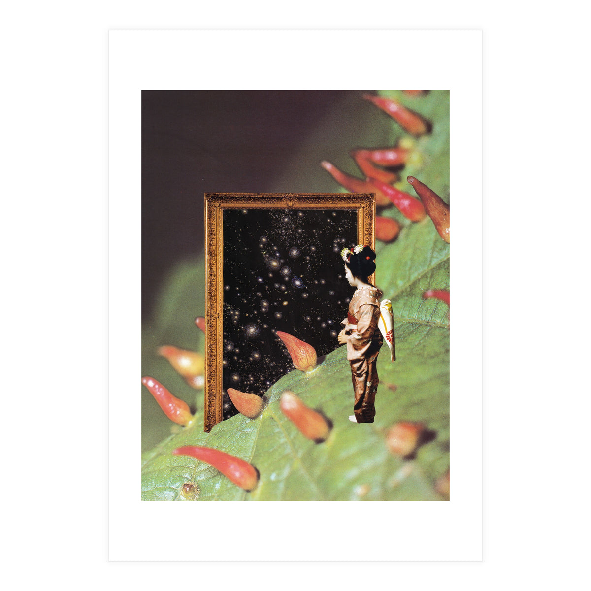 Cosmology (Print Only)