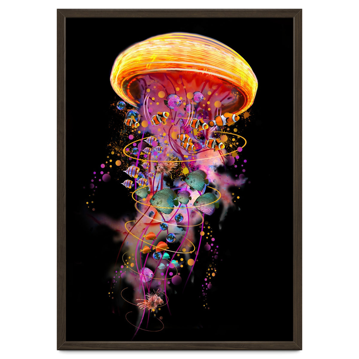 Jelly Fish Ride Summer2018 Dbh