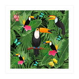 Toucan (Print Only) thumbnail