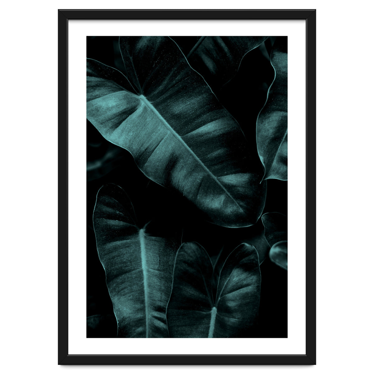 Dark Leafs