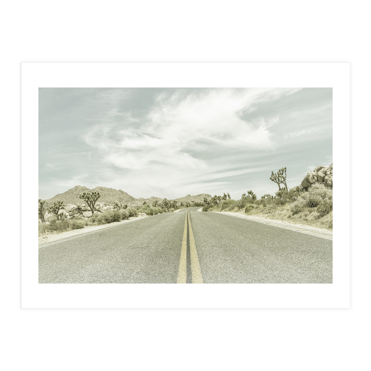 Joshua Trees, Park Boulevard | Vintage (Print Only)