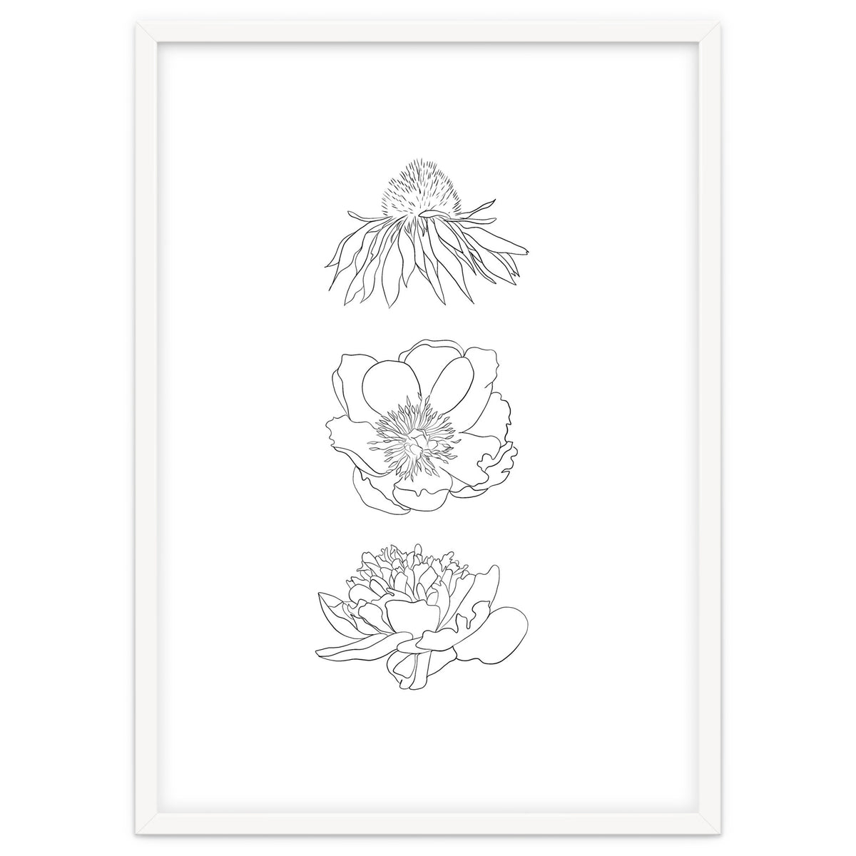 Hand Drawn Flowers