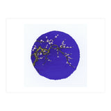 Circle 3 (Print Only) thumbnail