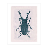 Beetle 3 (Print Only) thumbnail