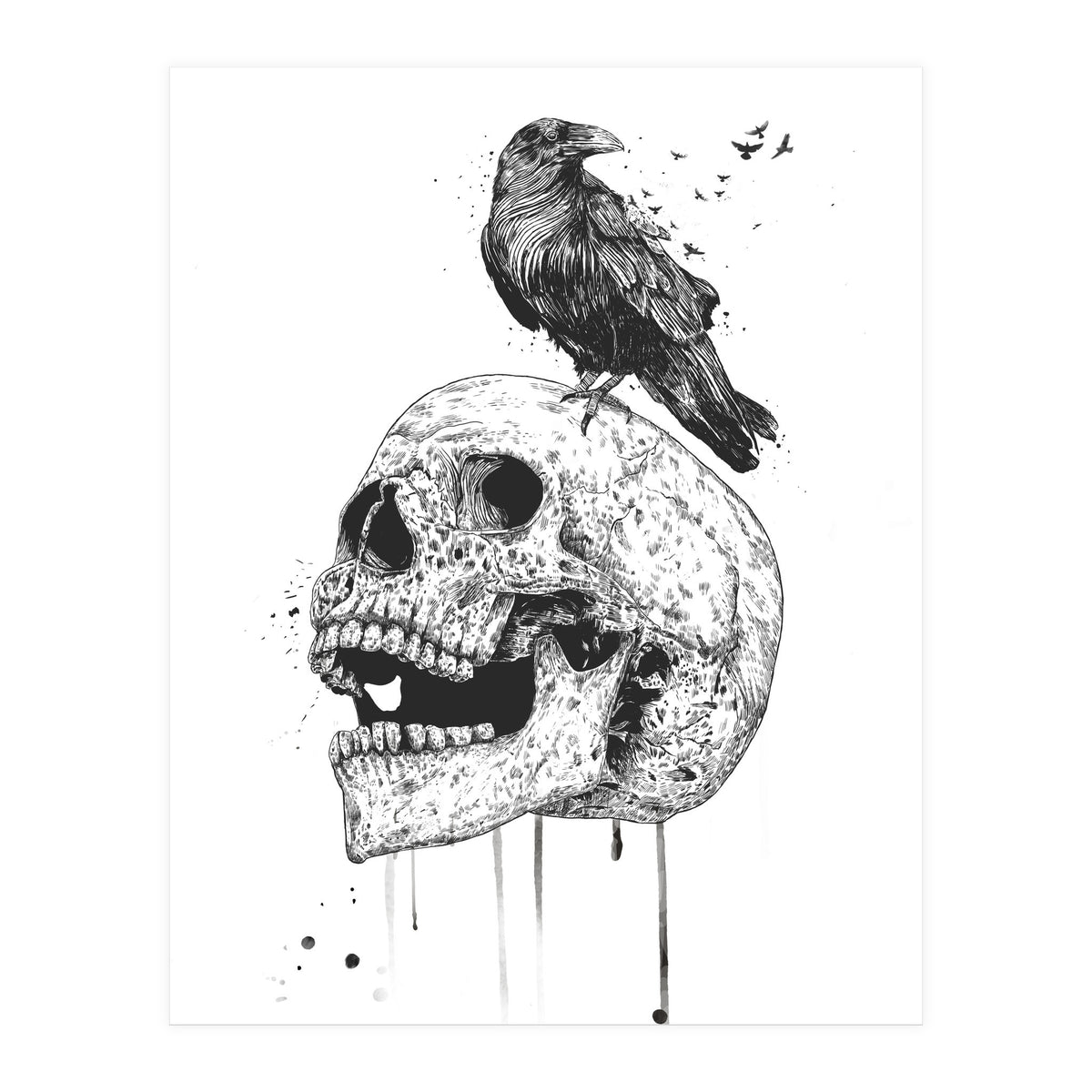 New Skull (bw) (Print Only)