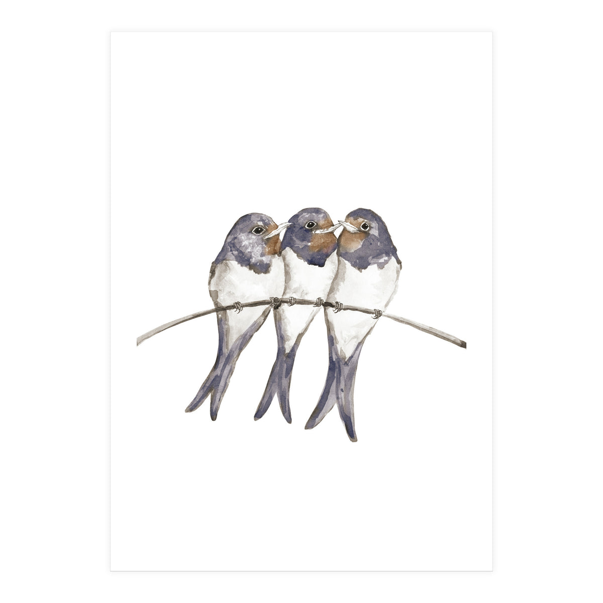 Three young swallows (Print Only)