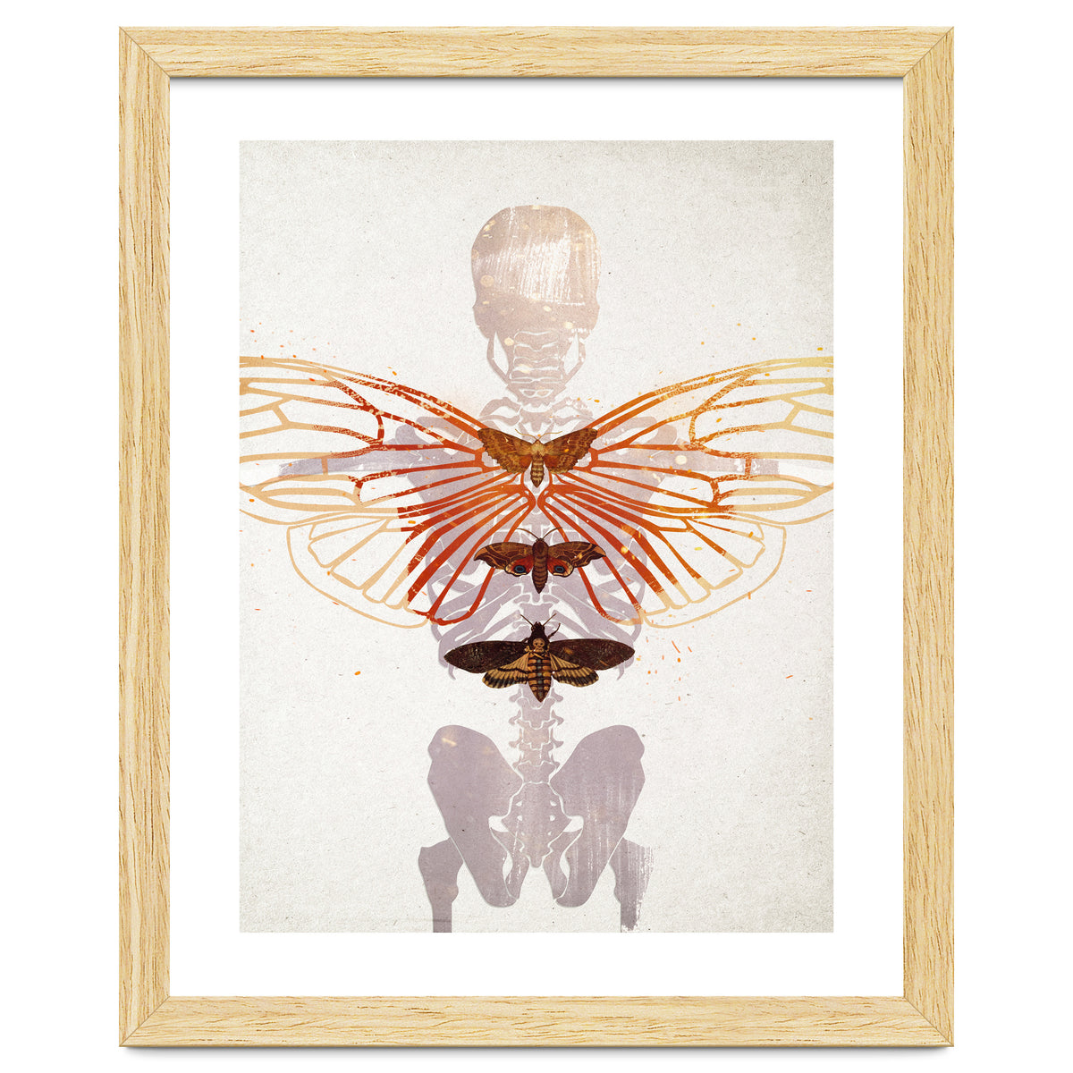 Ikarus - Like a Moth to the Flame