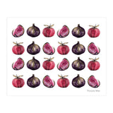 Apple & Figs (Print Only) thumbnail