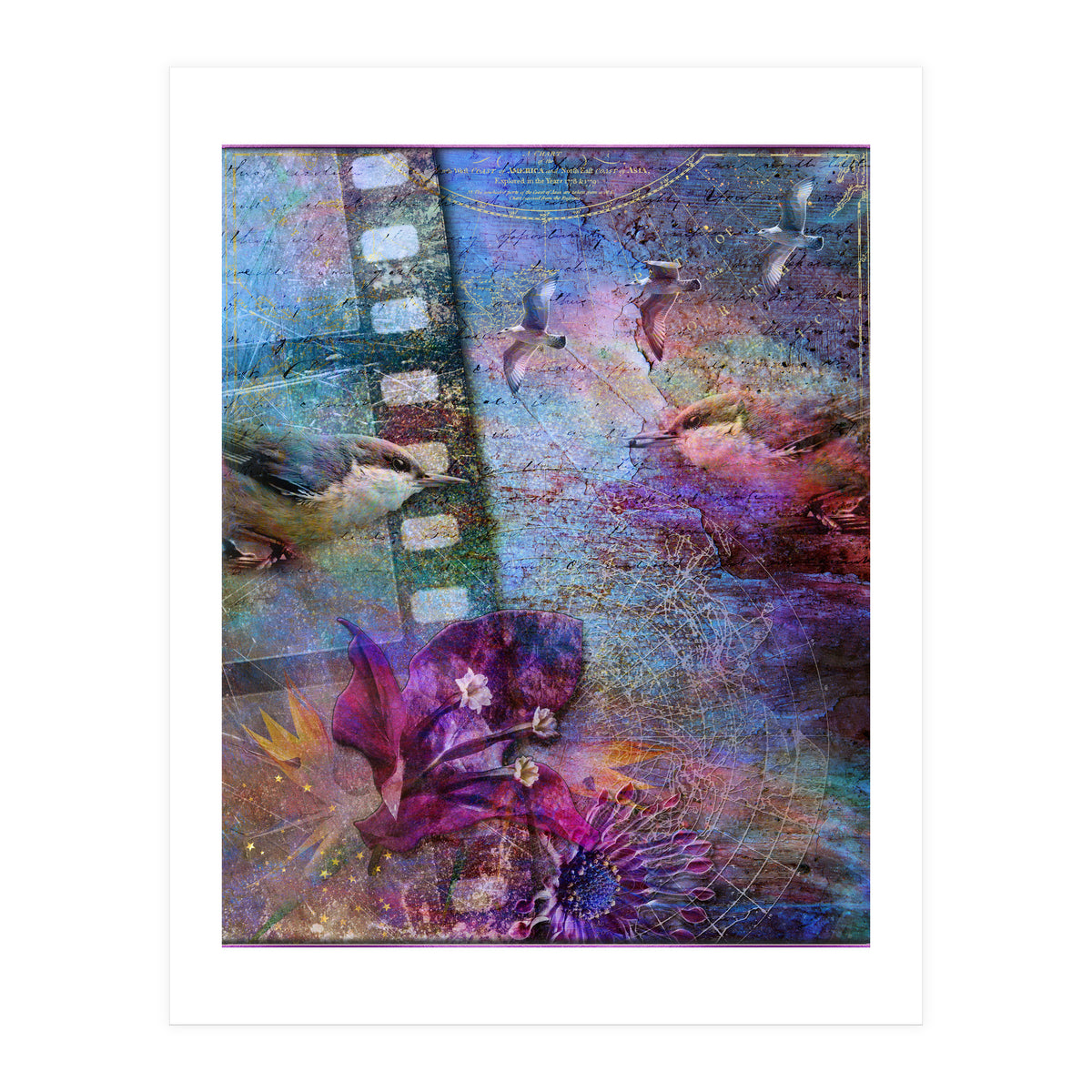 Watching the Wild World (Print Only)