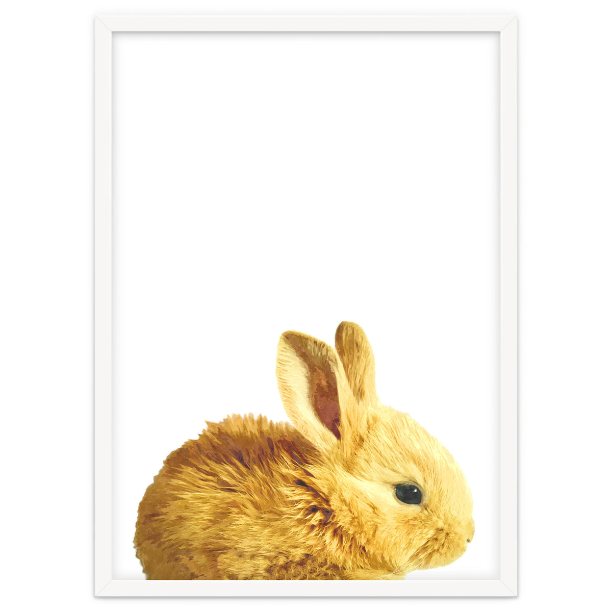 Bunny Portrait