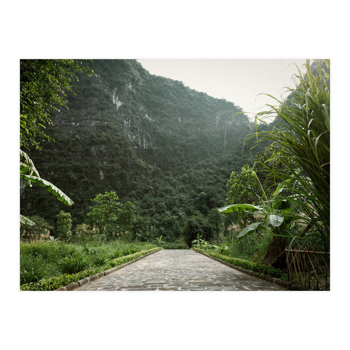 Greenscape (Print Only)