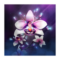 Orchid Meditation (Print Only)