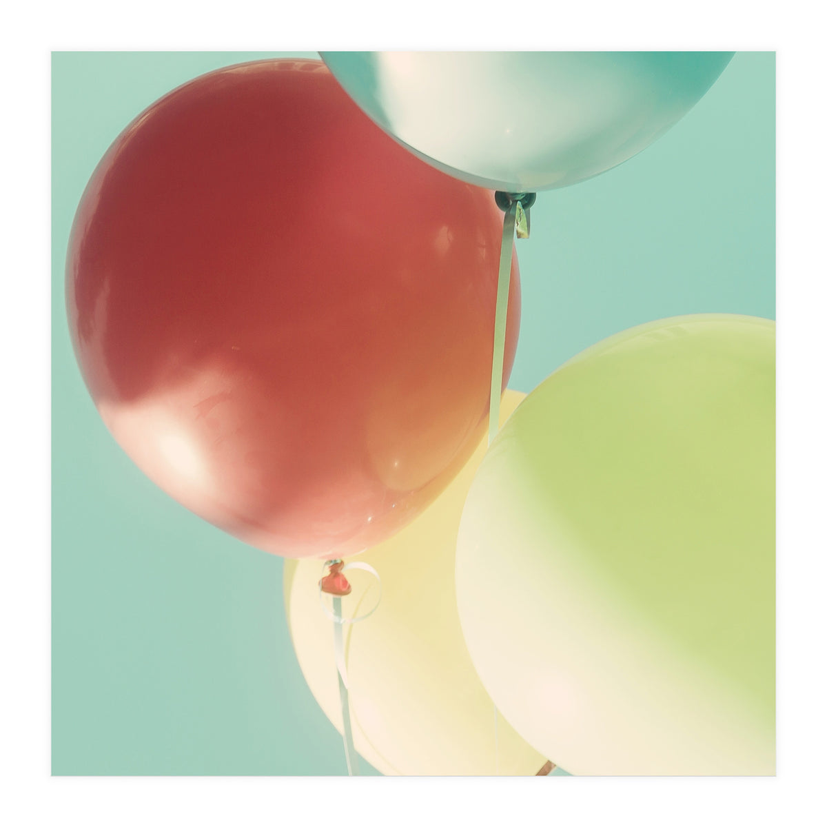 So Much Fun (Print Only)