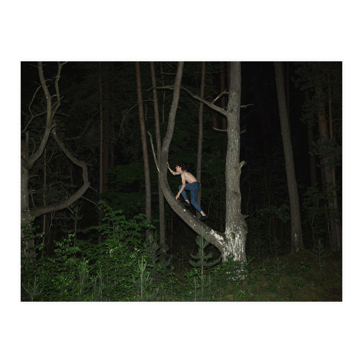 Night Crawler (Print Only)