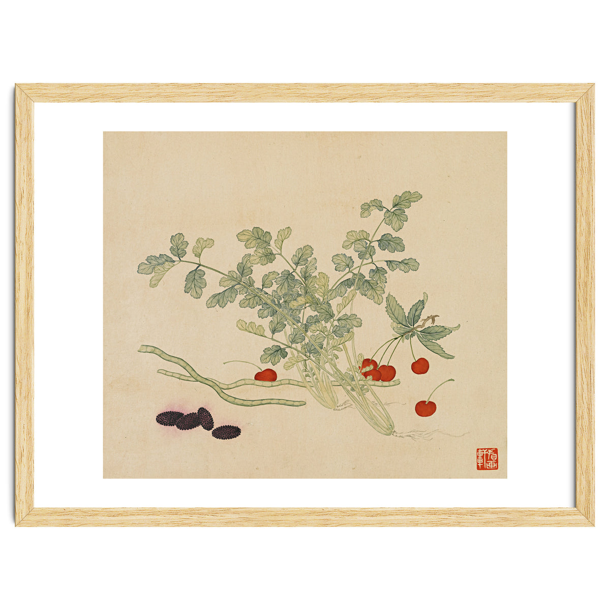 Wang Chengyu~flowers And Vegetables, Vegetables, Fruits, Beans, Red Beans, Cherries, Celery