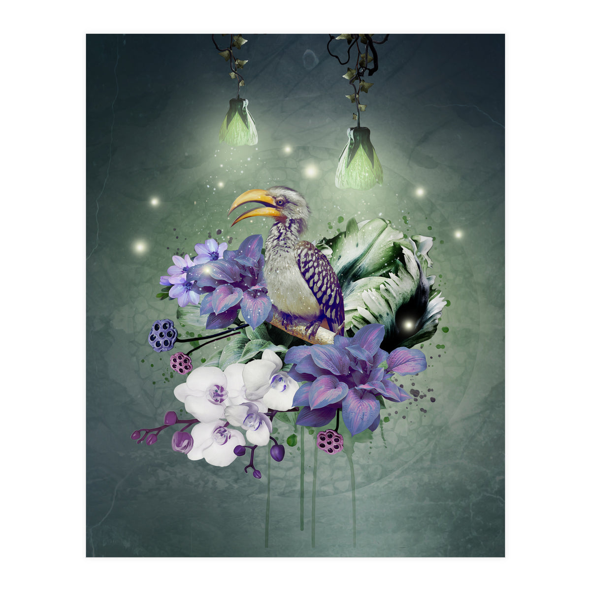 Floral Magic Hornbill  (Print Only)