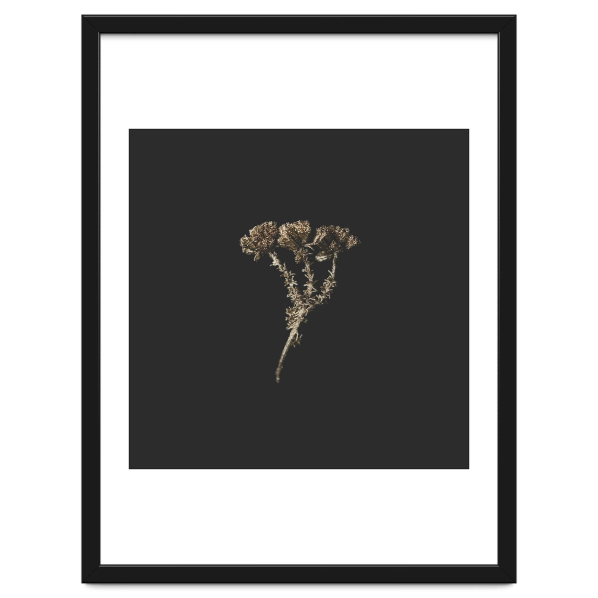 Gold Burst Botanicals - Square