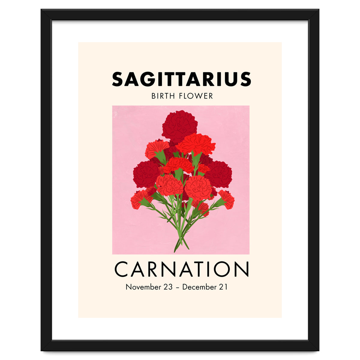 Sagittarius Birth Flower Carnation