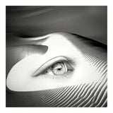 Untrue (Print Only) thumbnail