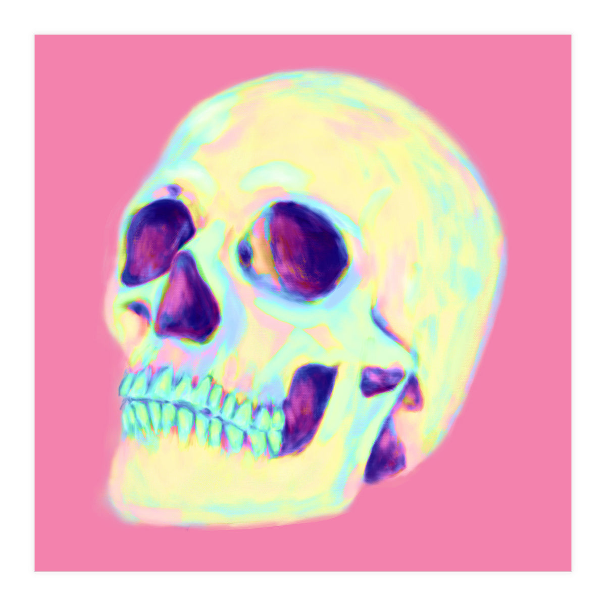 Skull (Print Only)