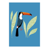 Toucan (Print Only) thumbnail