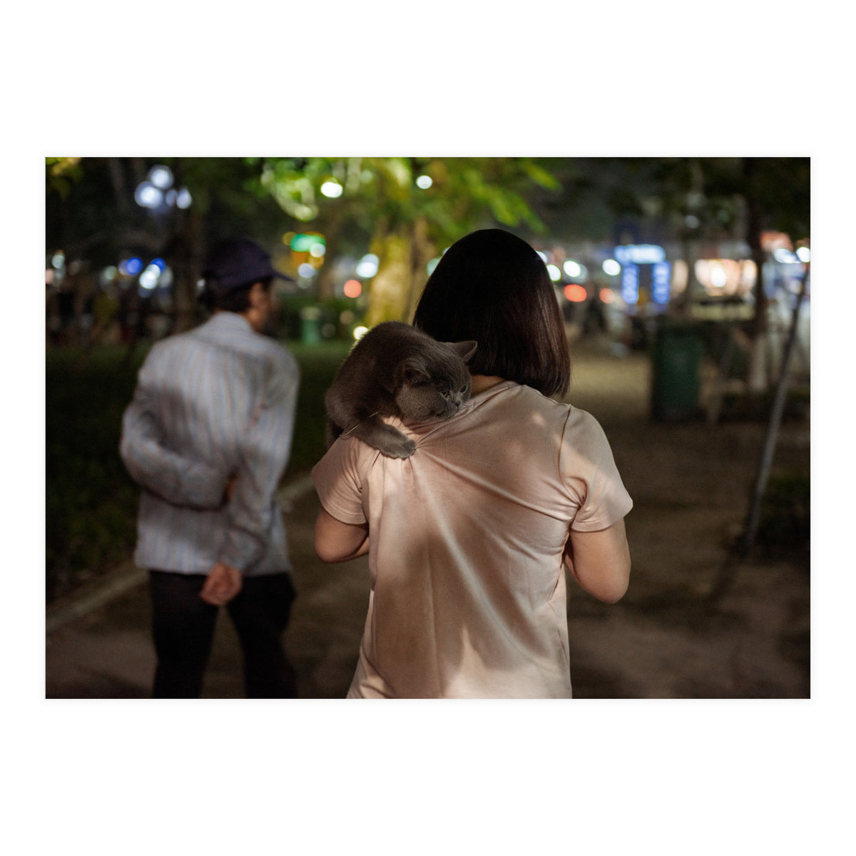 Cats of Vietnam (Print Only)