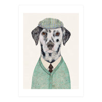 Dalmatian Dog (Print Only)