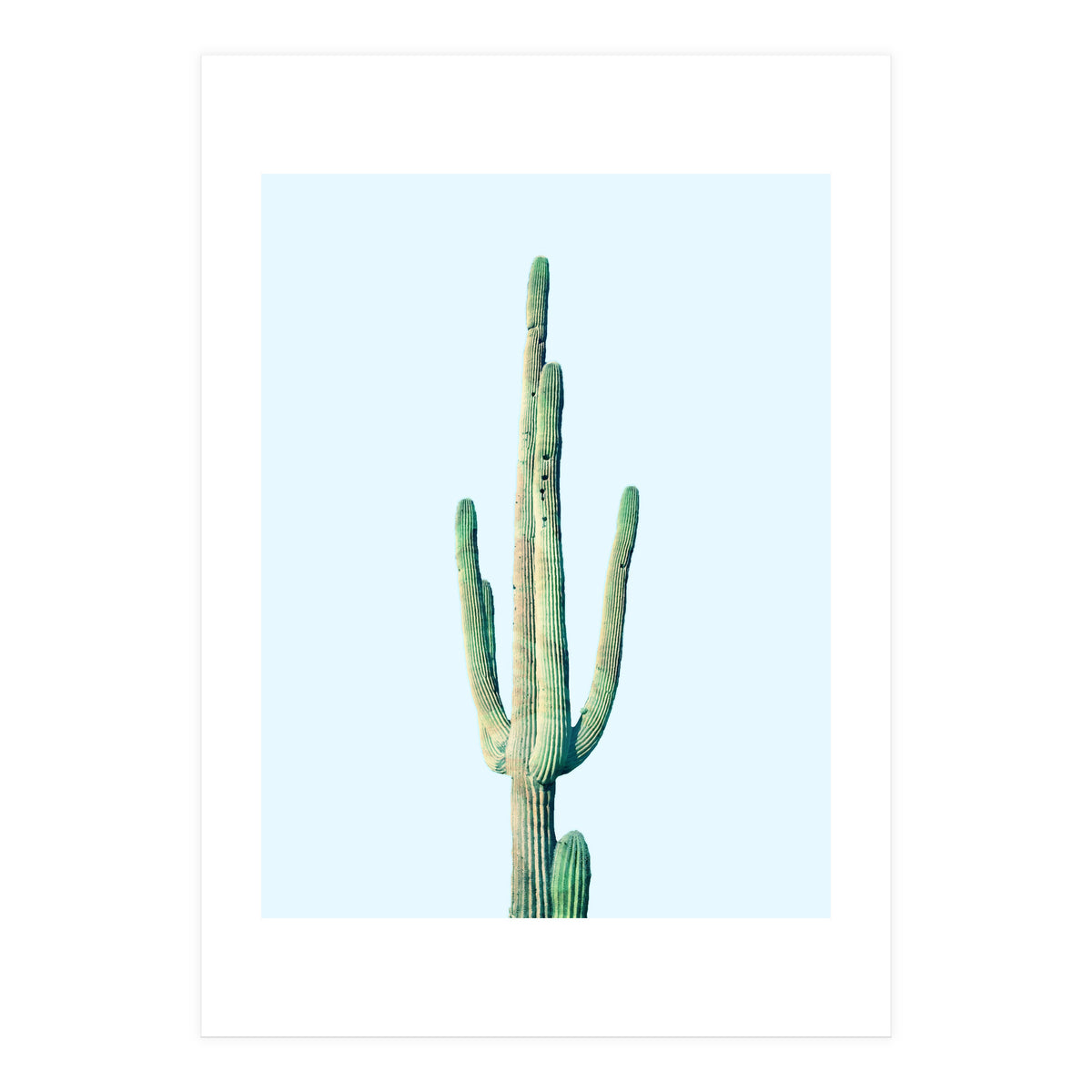 Loner Cactus (Print Only)