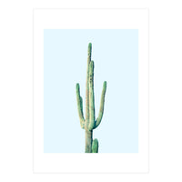 Loner Cactus (Print Only)