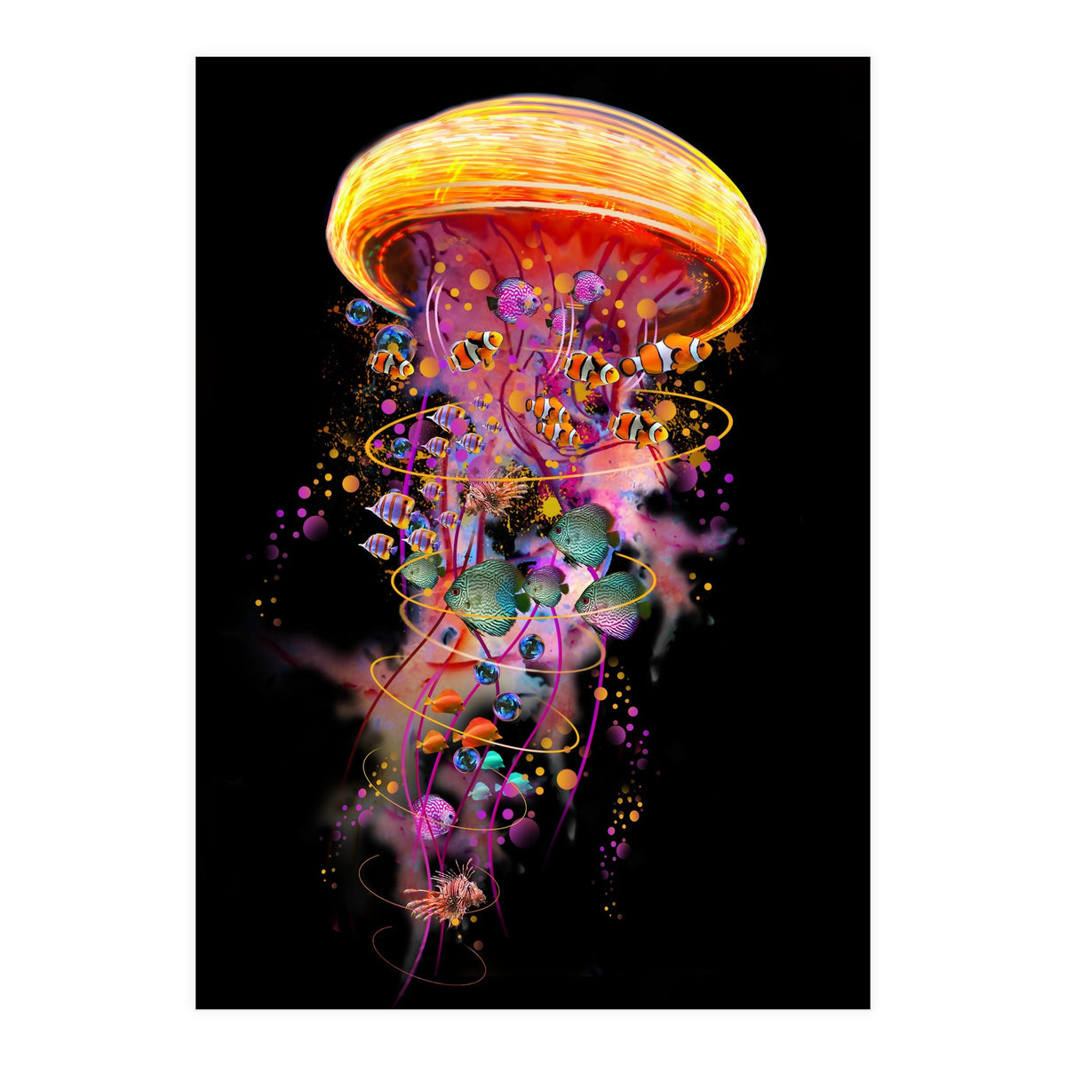 Jelly Fish Ride Summer2018 Dbh (Print Only)