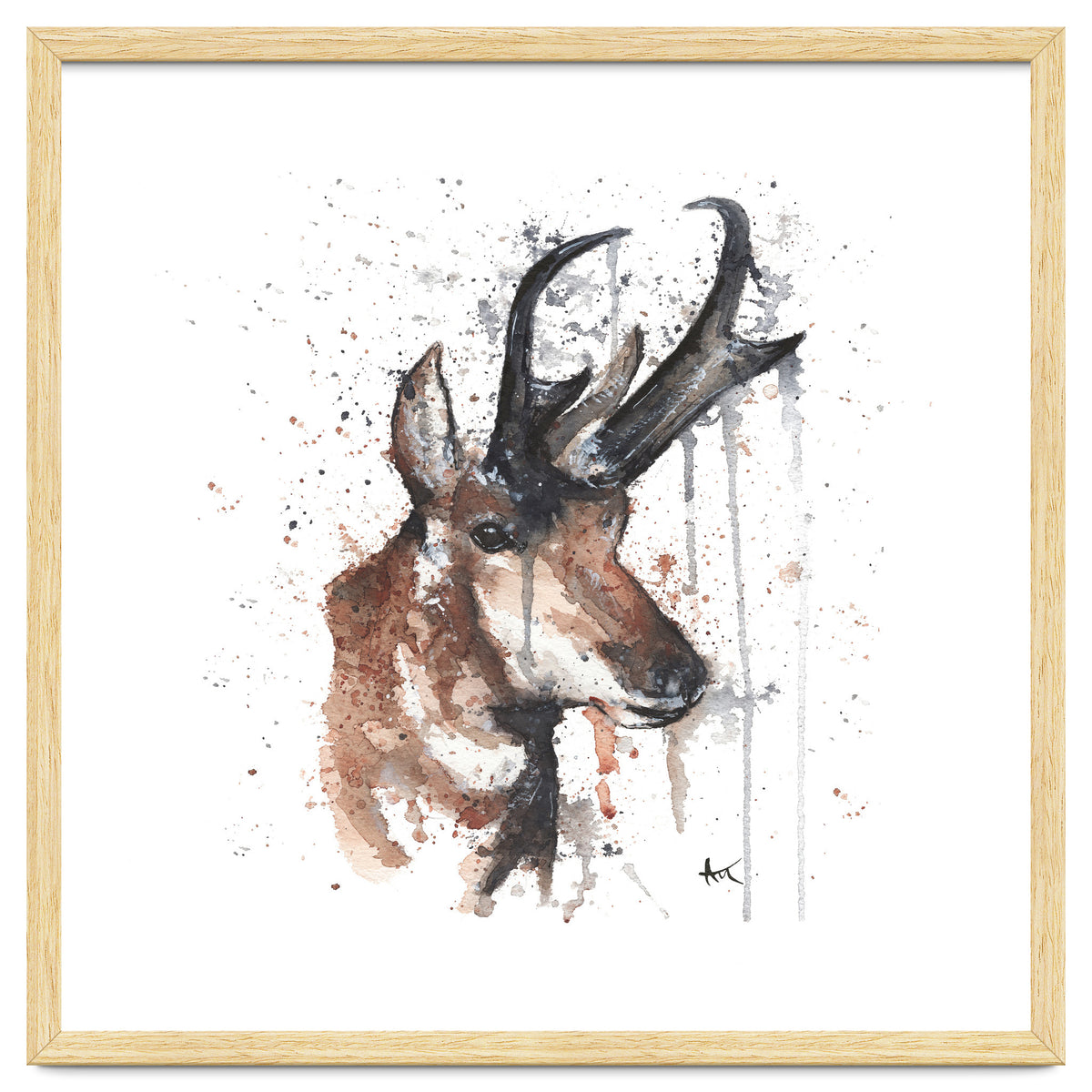 Red deer - Wildlife Collection