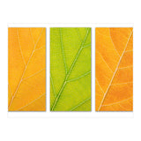 Autumn Leaves (Print Only) thumbnail