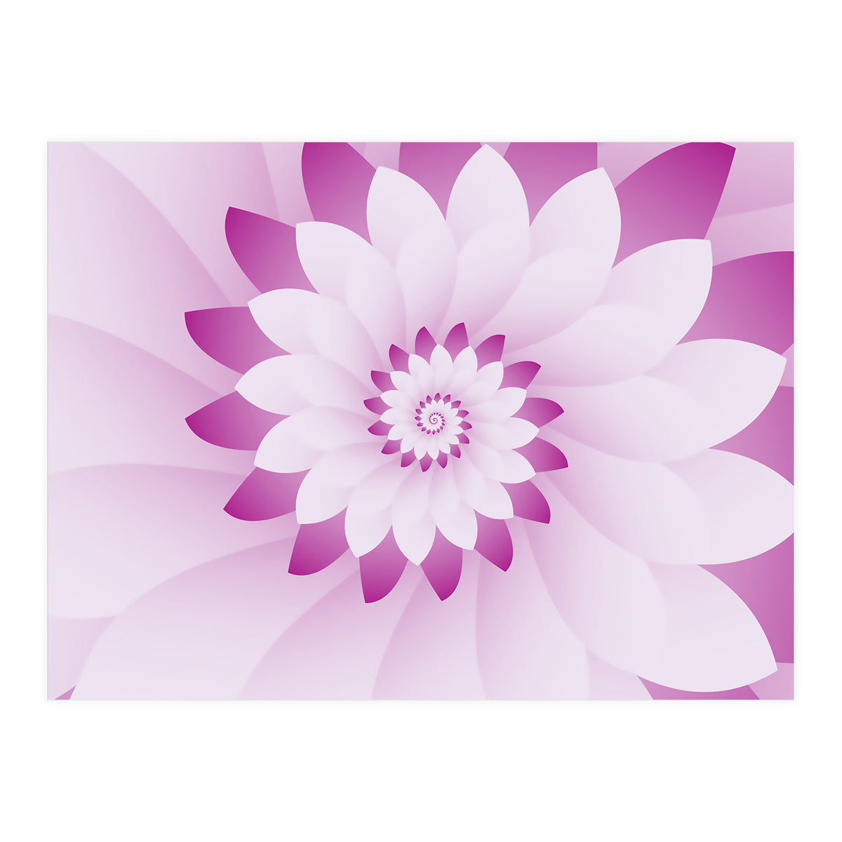 Abstract Pink & White Floral Design  (Print Only)