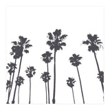 Palms & Sunset-Minimal B&W (Print Only) thumbnail