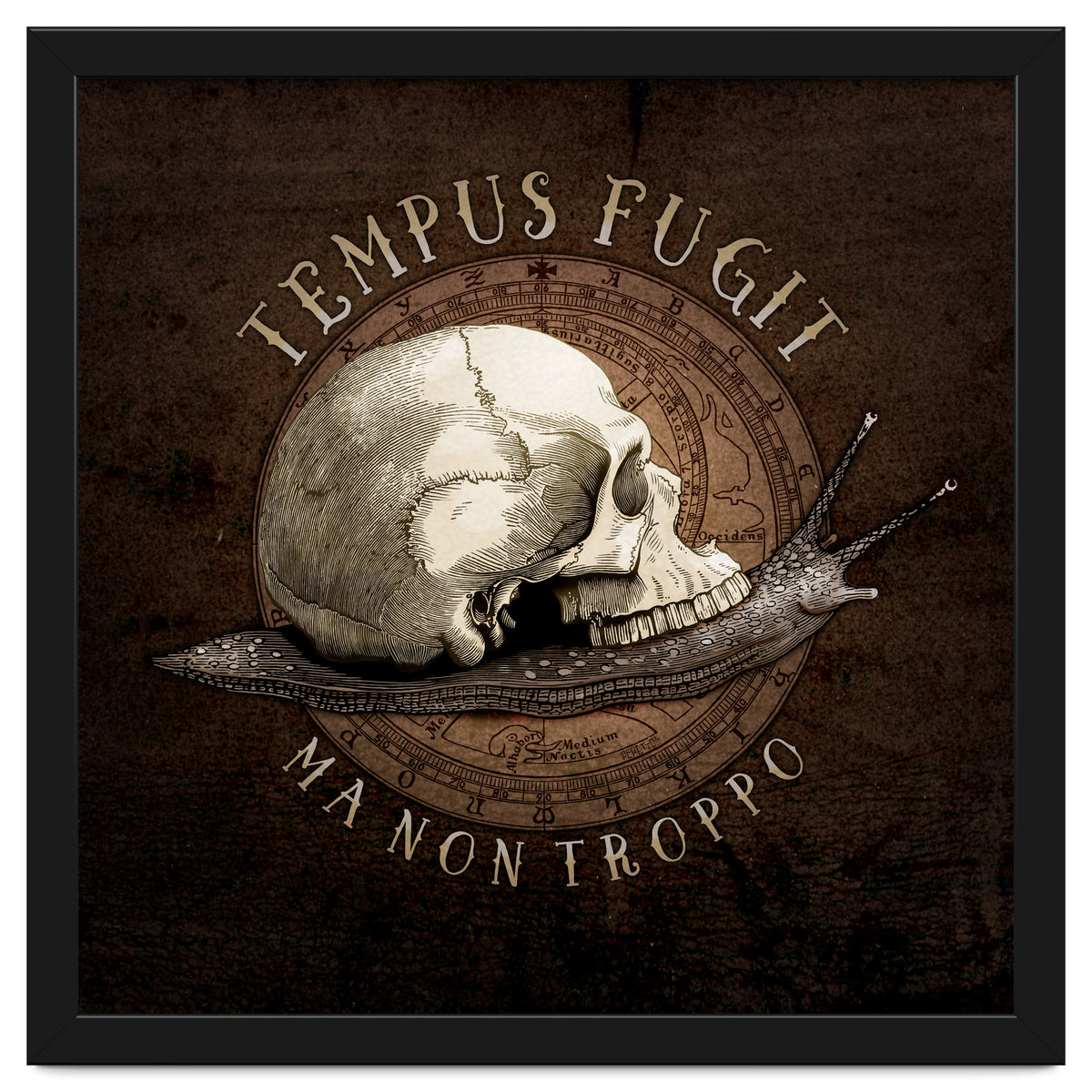 Tempus Fugit (ma non troppo)