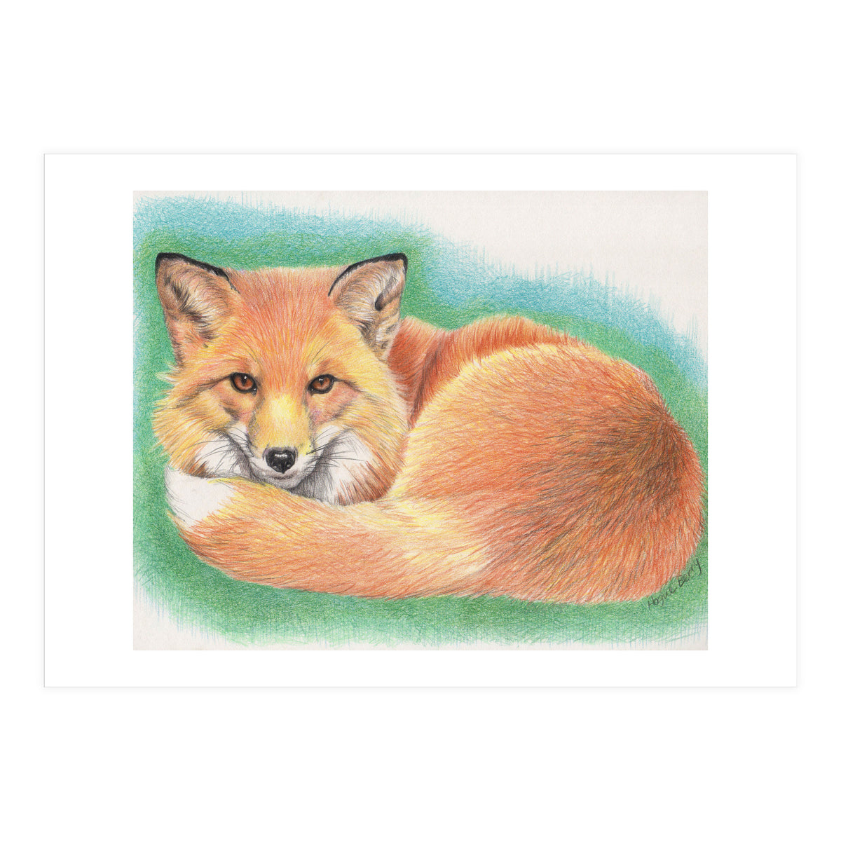 The Watcher (Print Only)