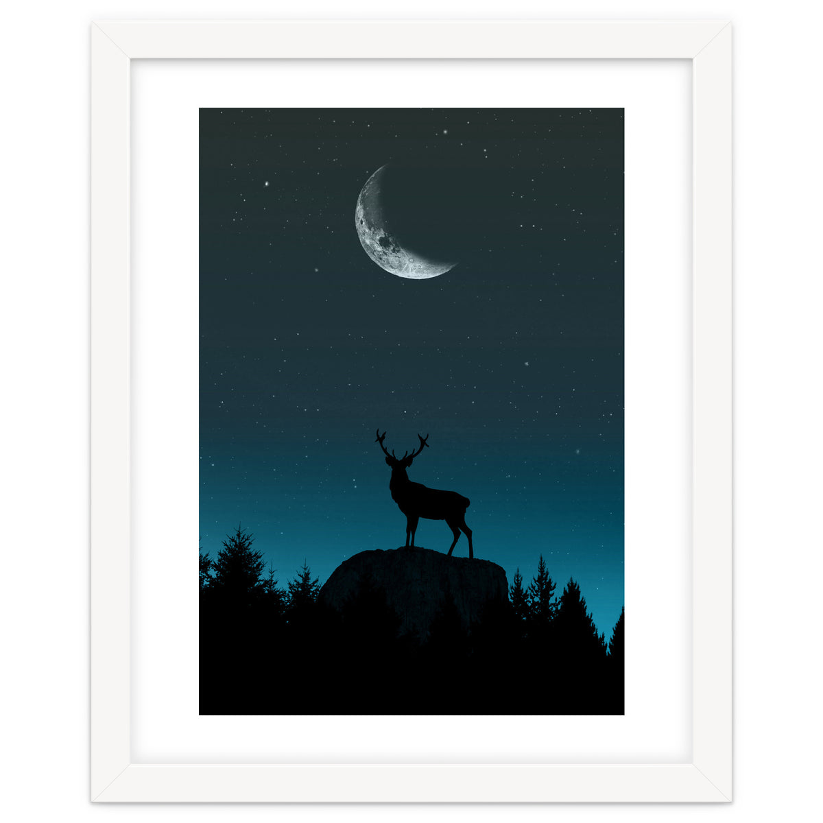 Wild Nature - Nocturne