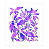 Ultraviolet Nature (Print Only) thumbnail