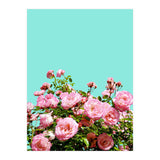 Blissful (Print Only) thumbnail