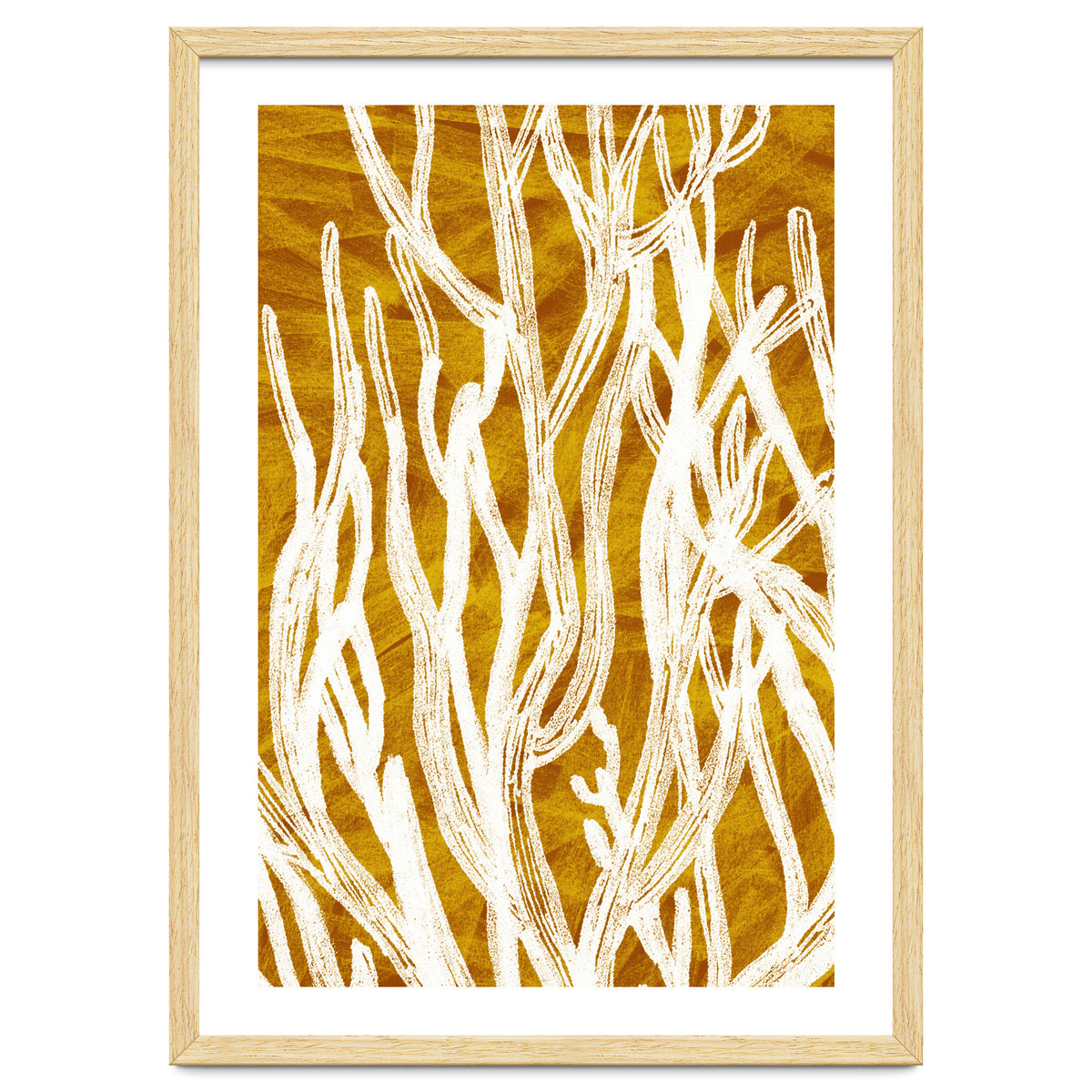 Desert Colours Collection 1