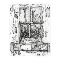 The window (Print Only)