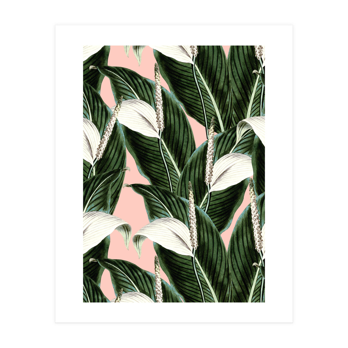 Sweet floral Pothos (Print Only)