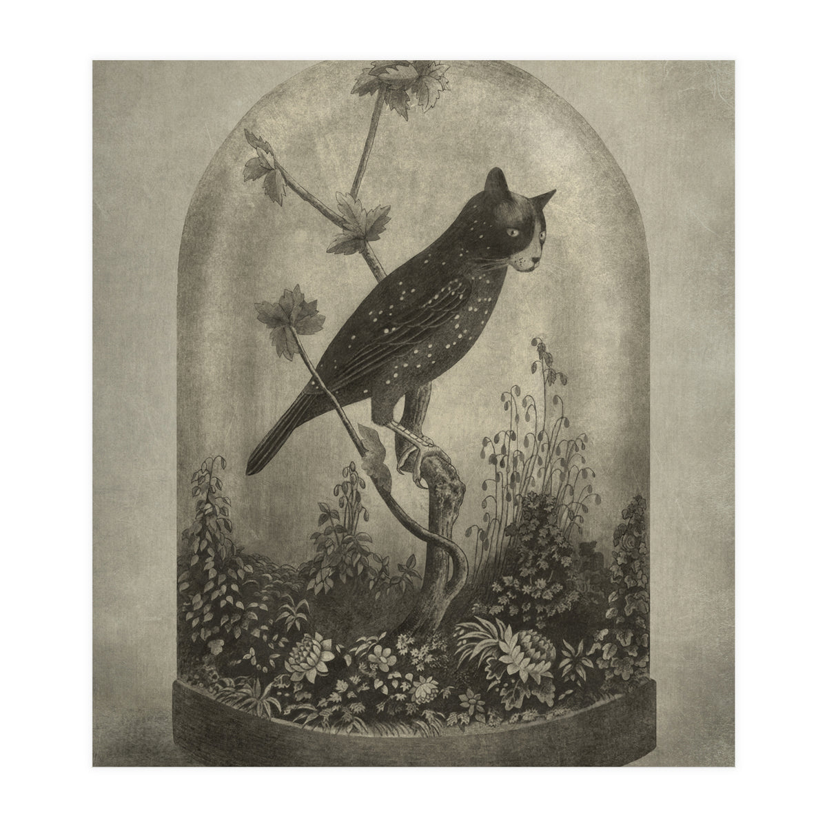 The Curiosity (Print Only)