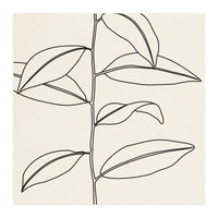 LEAF IN LINE 01 (Print Only)
