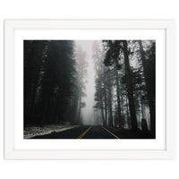 Foggy Yosemite