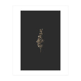 Gold Rush Botanicals (Print Only) thumbnail