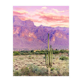 Cactus Sunset (Print Only) thumbnail